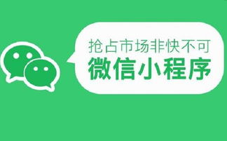 深圳小程序開發公司